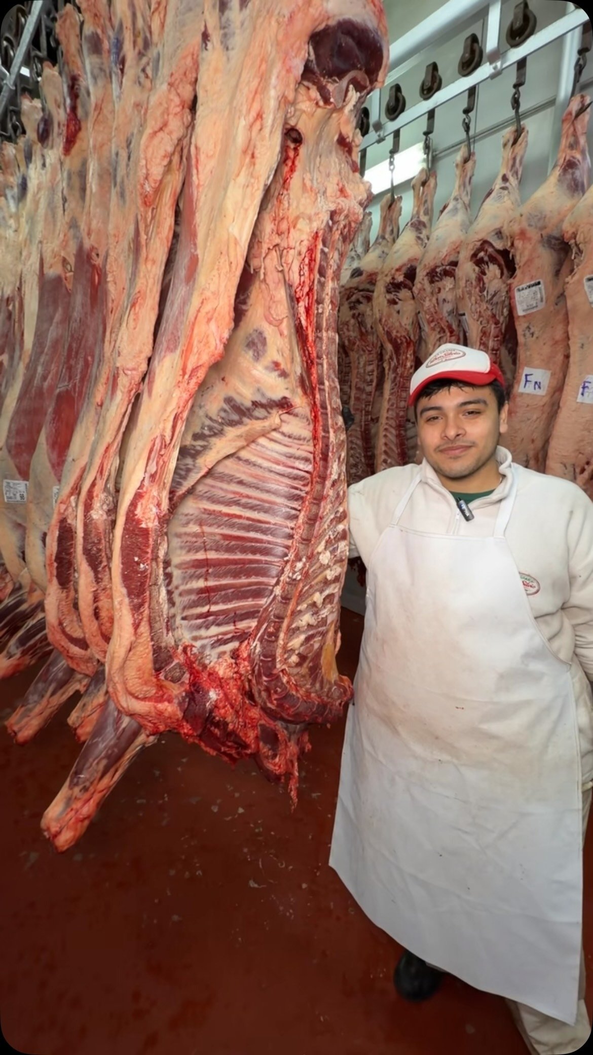 Productos cárnicos exhibidos en el local